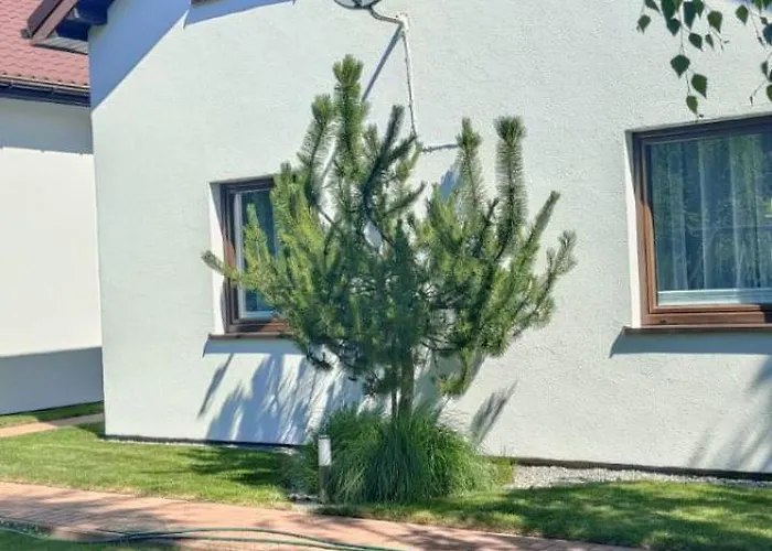 Domki Wczasowe Alexjan Dąbki